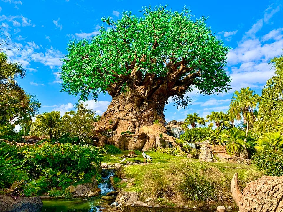 Animal Kingdom