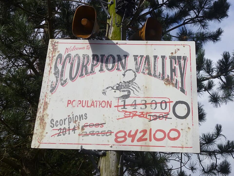 Scorpion
