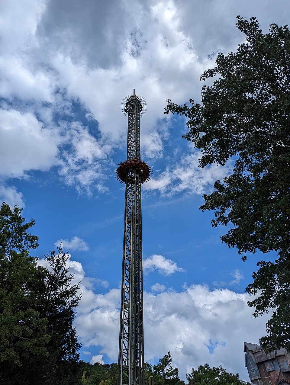 Dollywood Height Requirements 2026 Every Ride Tall to Ride